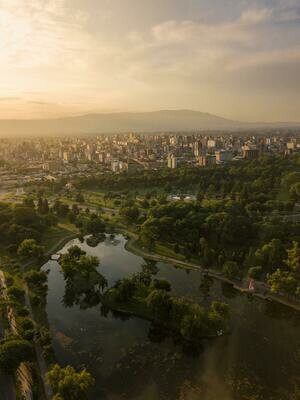 Argentine