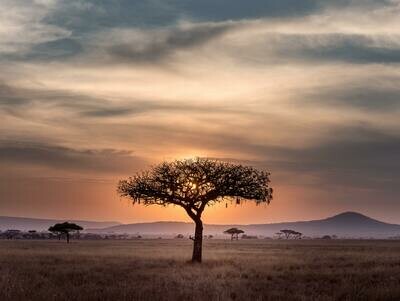 Afrique du Sud
