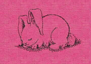 Sleeping Bunny