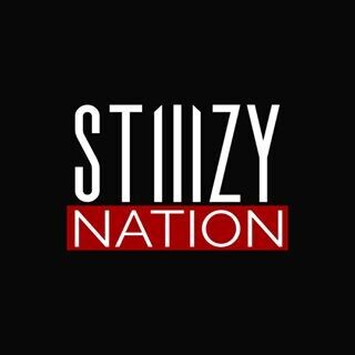 Get 3 STIIIZY Pods for ONLY $199!!