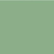G Color - MS Green (Zeon) - 10ml