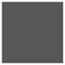 G Color - MS Gray (Zeon) - 10ml