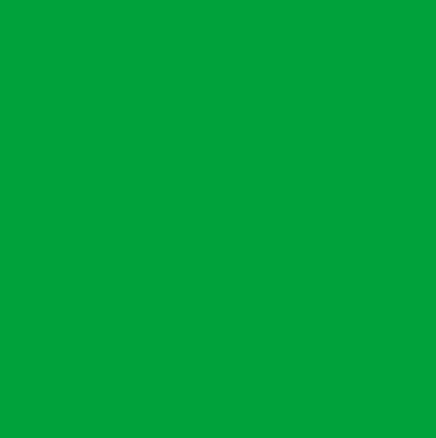 Acrysion N16 - Yellow Green (Gloss/Primary)