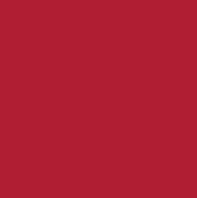 Acrysion N43 - Wine Red (Gloss/Primary)