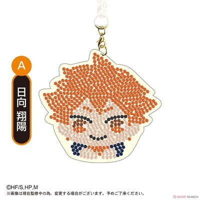 HQ-16 "Haikyu!!" Jewelry Mascot Collection
