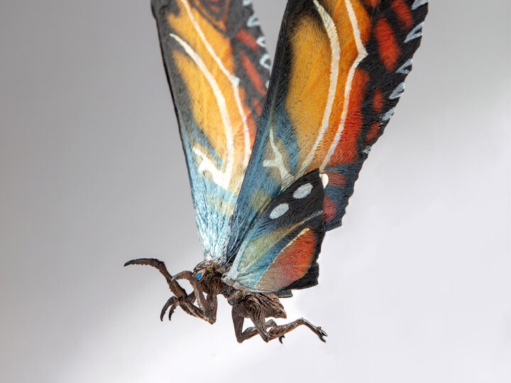 EXQUISITE BASIC: &quot;GODZILLA: KING OF THE MONSTERS&quot; - Mothra