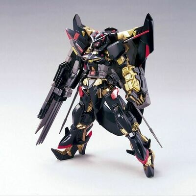 Mobile Suit Gundam SEED Astray HGGS Gundam Astray Gold Frame Amatsu Mina 1/144 Scale Model Kit