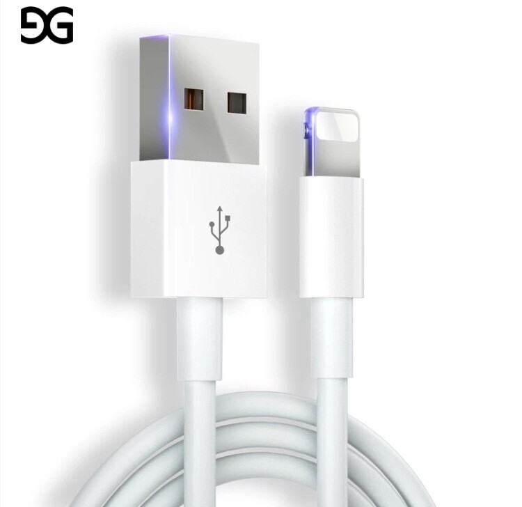 iPhone Charger