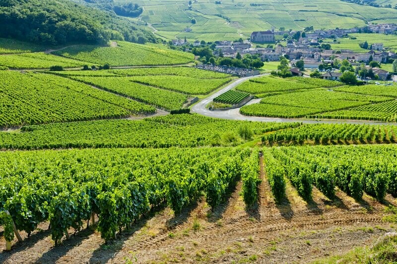 Week-End oenologique "3 Jours - 2 Nuits" avec chauffeur et guide