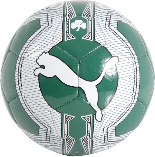 Puma Evopower 6 Panathinaikos Μπάλα Ποδοσφαίρου Πράσινη