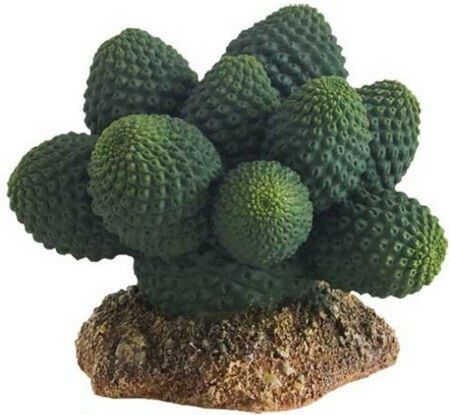 Hobby Aquaristik Cactus Διακοσμητικό για Ενυδρείο Ερπετών