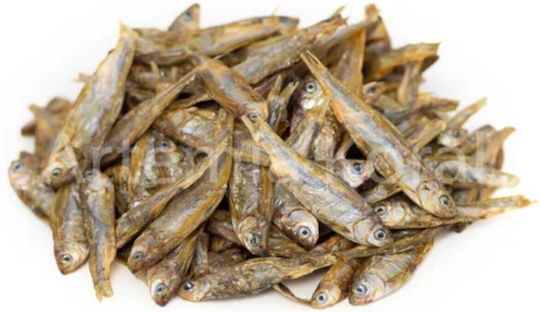 Αποξηραμένα Ψαράκια 3-5 Cm 100ml/15gr