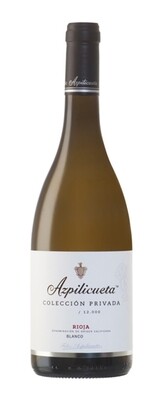 Felix Azpiclueta colleccion privada