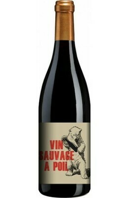Gamay - Vin Sauvage à Poil