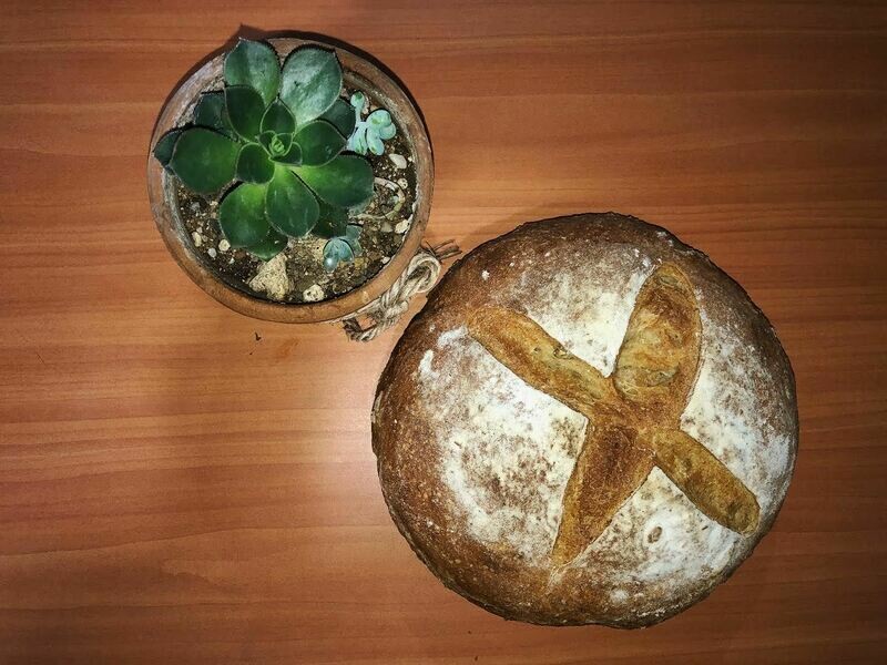Pan de masa madre