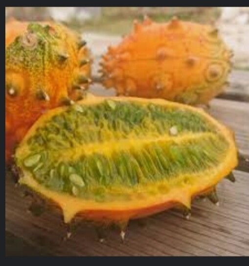 plants kiwano