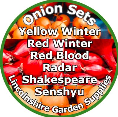 ONION / SHALLOT SETS--- (Autuumn / Winter Planting)