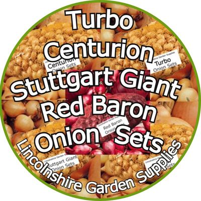 Spring Planting Onion Sets