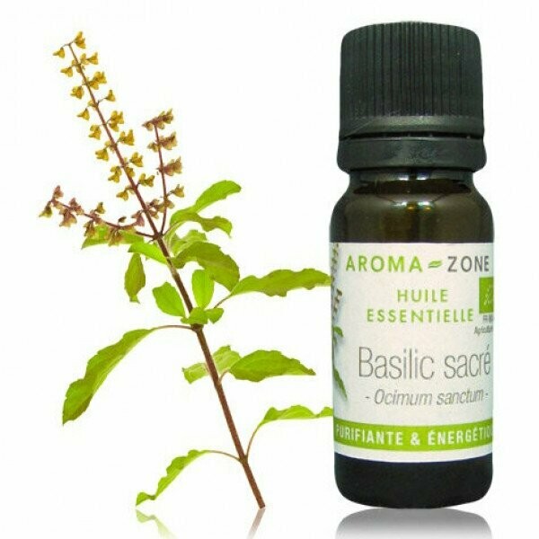 Huile essentielle de Basilic sacré bio