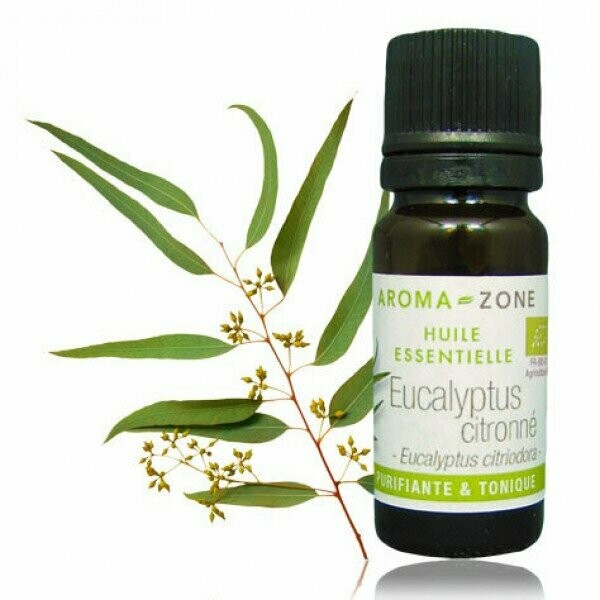 Huile essentielle d'Eucalyptus citronné bio