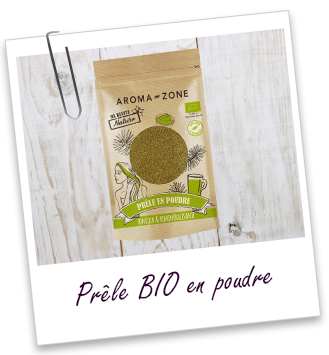 Prêle en poudre