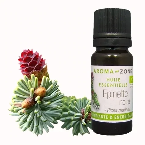 Huile essentielle d'épinette noire 10ml
