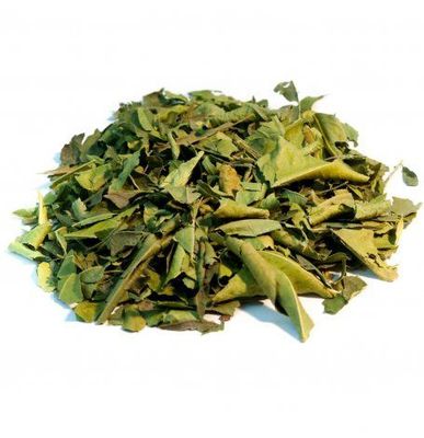 Oranger bigaradier feuille VRAC