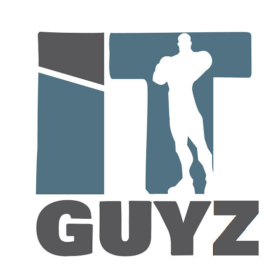 IT GUYZ