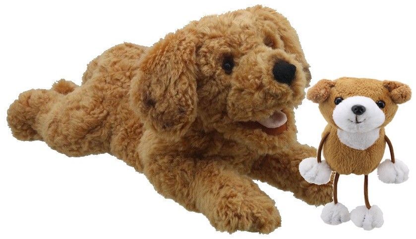 Meet Our Dog Early Years Puppet Resource Set Meet Our Dog Early Years Puppet Resource Set