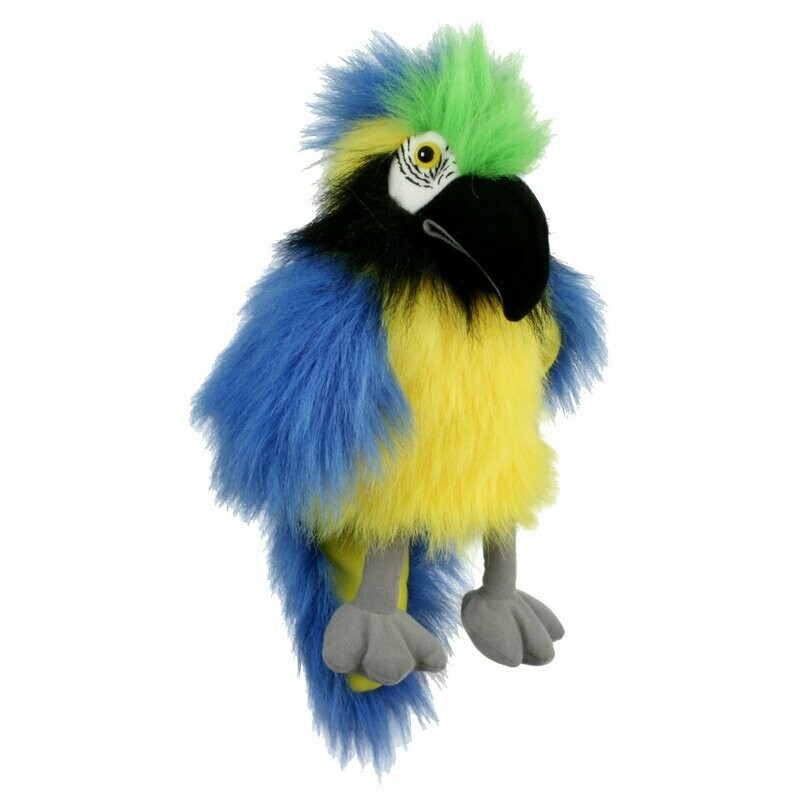 Papagei Blau - Baby Birds