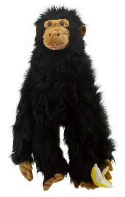 Schimpanse - Large Primates