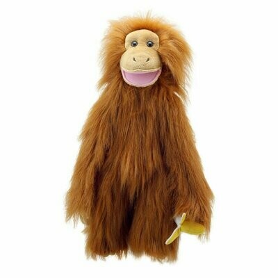 Orang-Utan - Large Primates