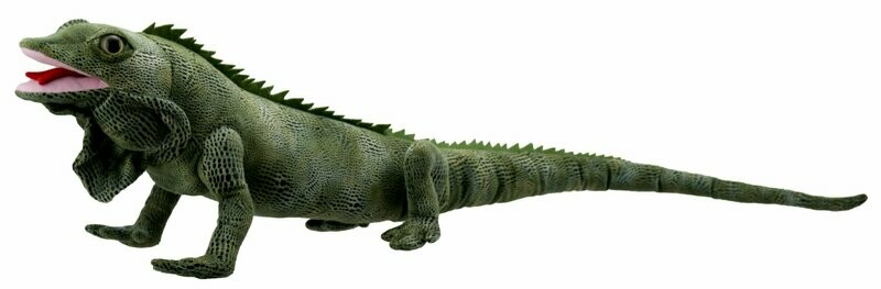 Leguan - Large Creatures