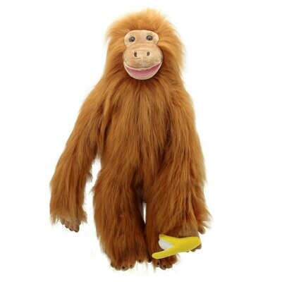 Orang-Utan - Large Primates