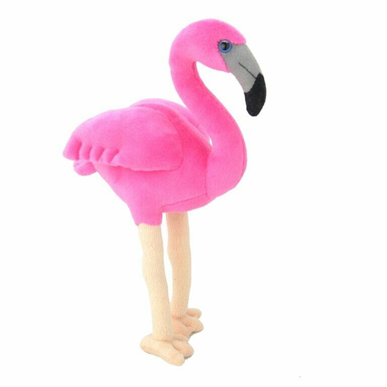 Flamingo - All About Nature