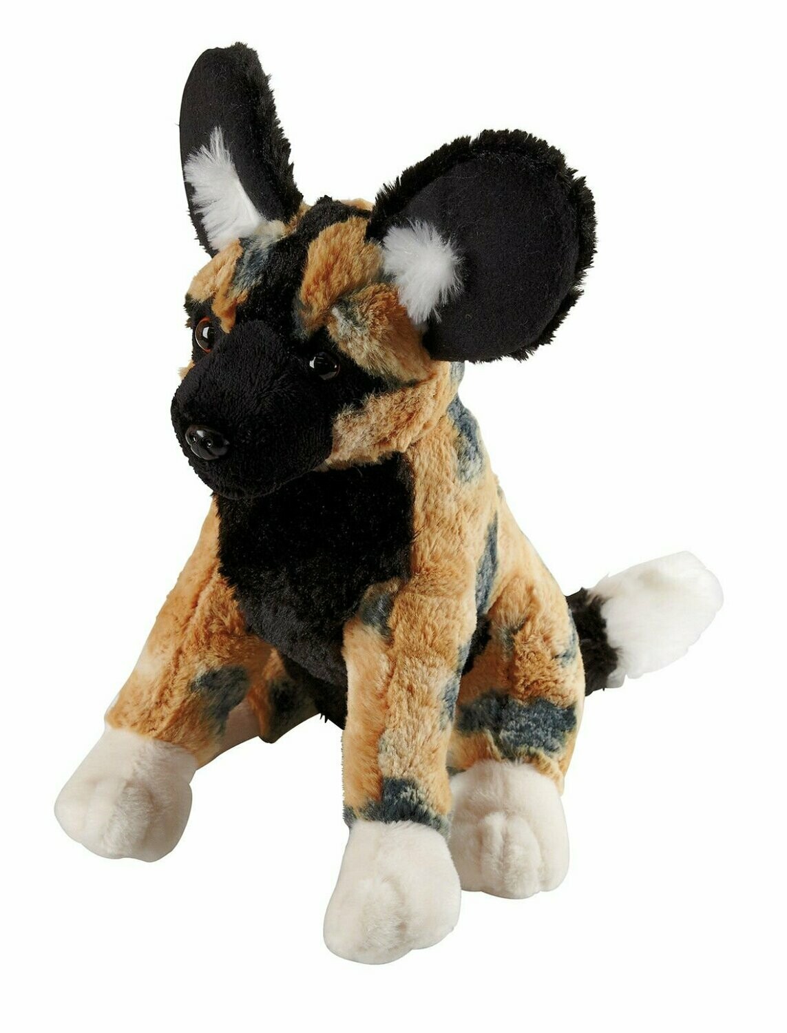 Afrikanischer Wildhund - Ravensden