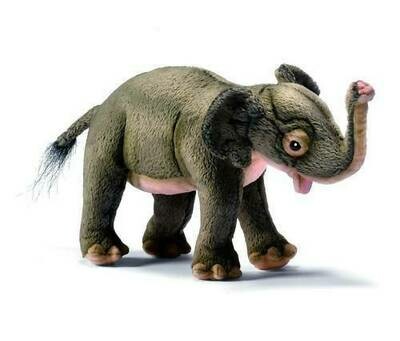 Elefanten Baby - Hansa