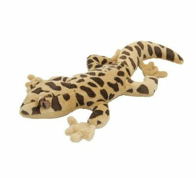 Leopardengecko - Cornelißen