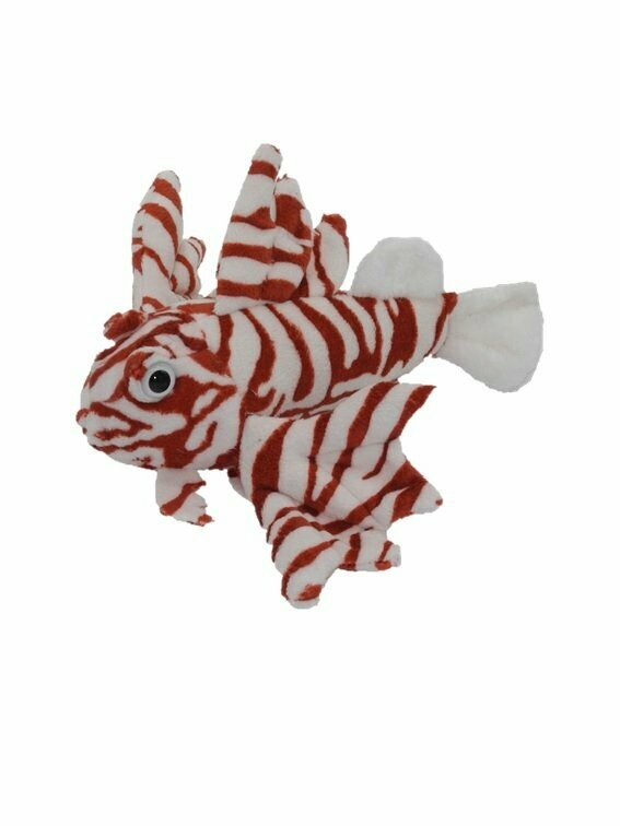 Rotfeuerfisch - Cornelißen