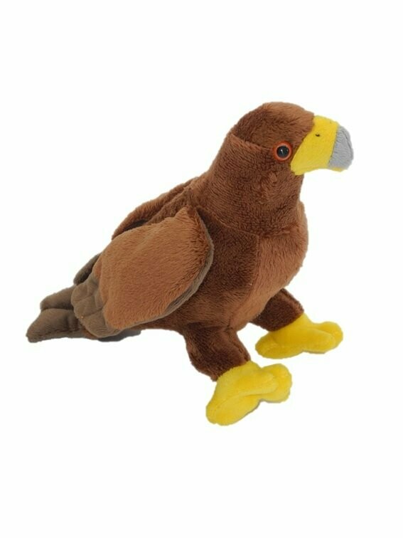 Steinadler - Cornelißen
