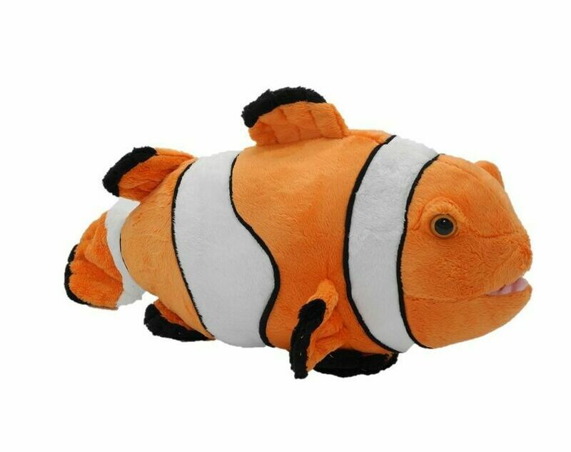 Clownfisch - Cornelißen