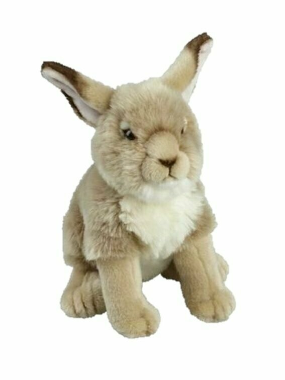 Hase - Ravensden