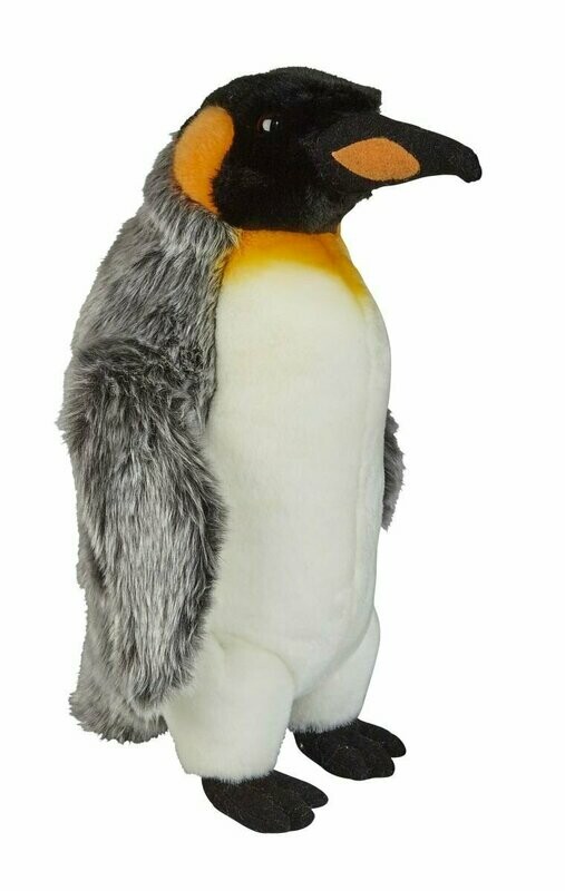 Königspinguin - Ravensden