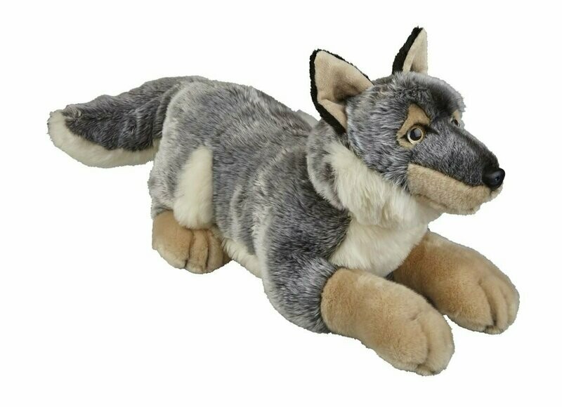 Wolf - Ravensden