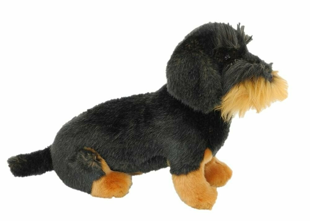 Rauhaardackel - Uni-Toys