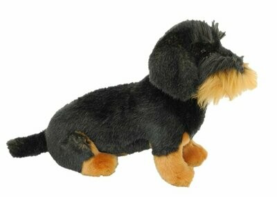 Rauhaardackel - Uni-Toys