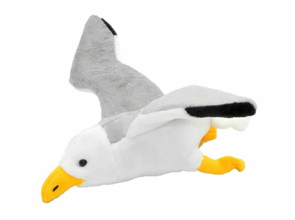 Möwe - Cornelißen
