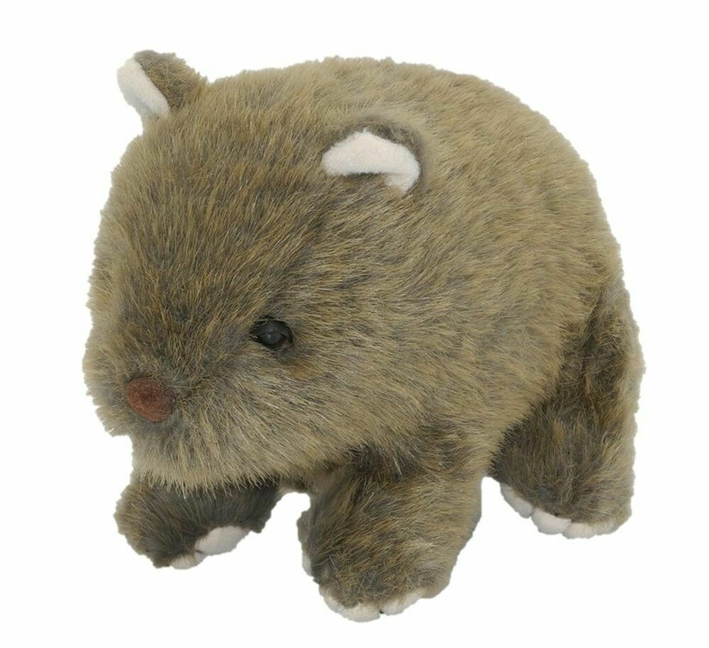 Wombat - EBO