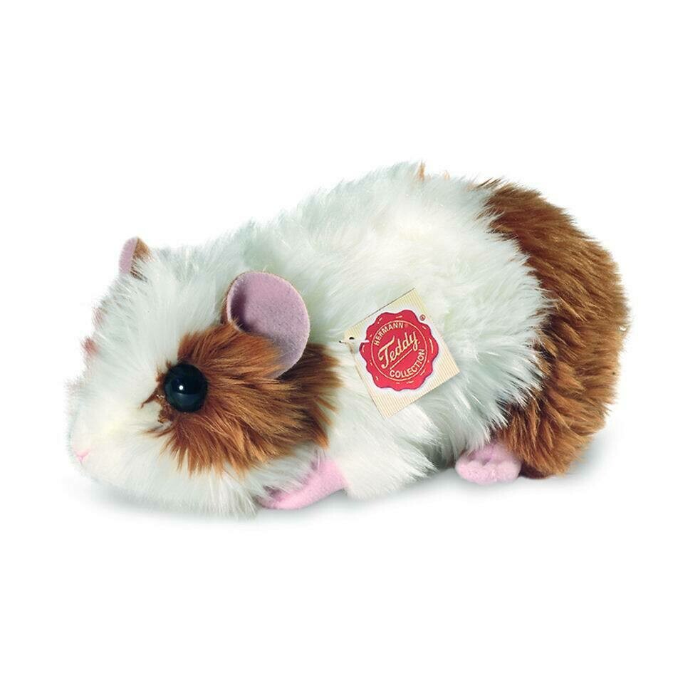 Meerschweinchen Braun-Weiß - Hermann Teddy