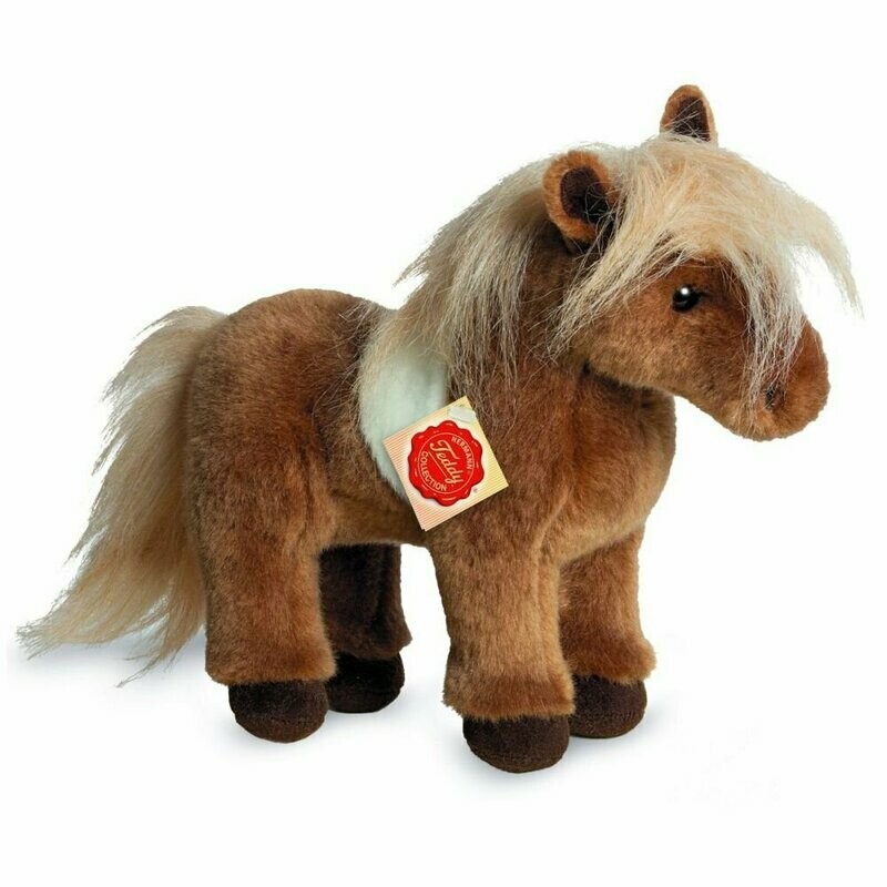 Shetlandpony - Hermann Teddy